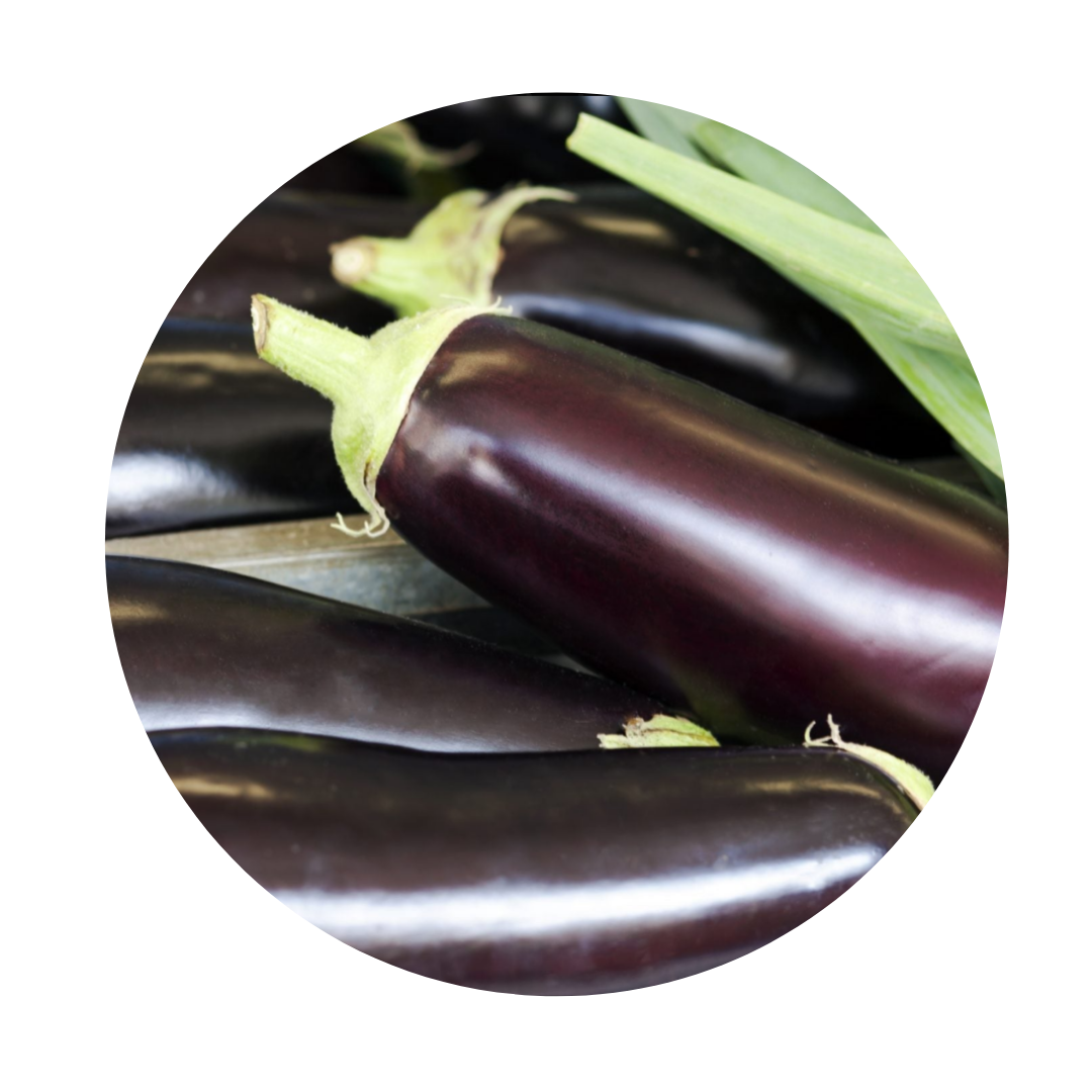 American Eggplant