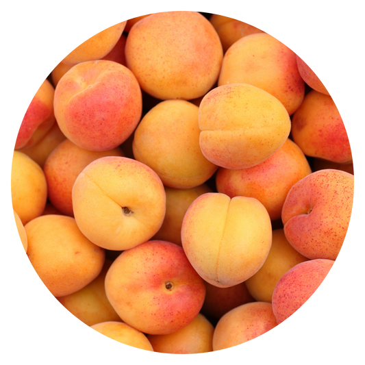 Apricot