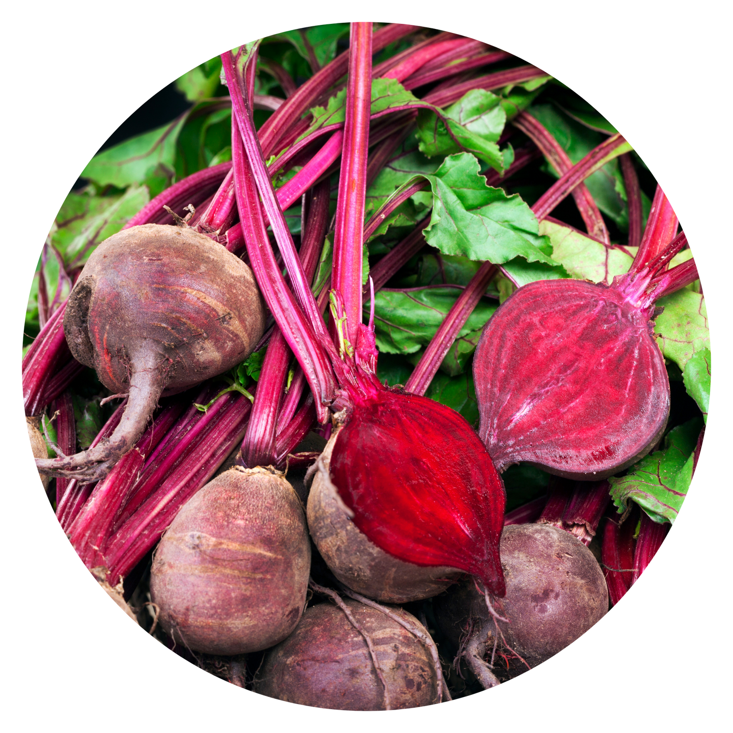 Beetroot