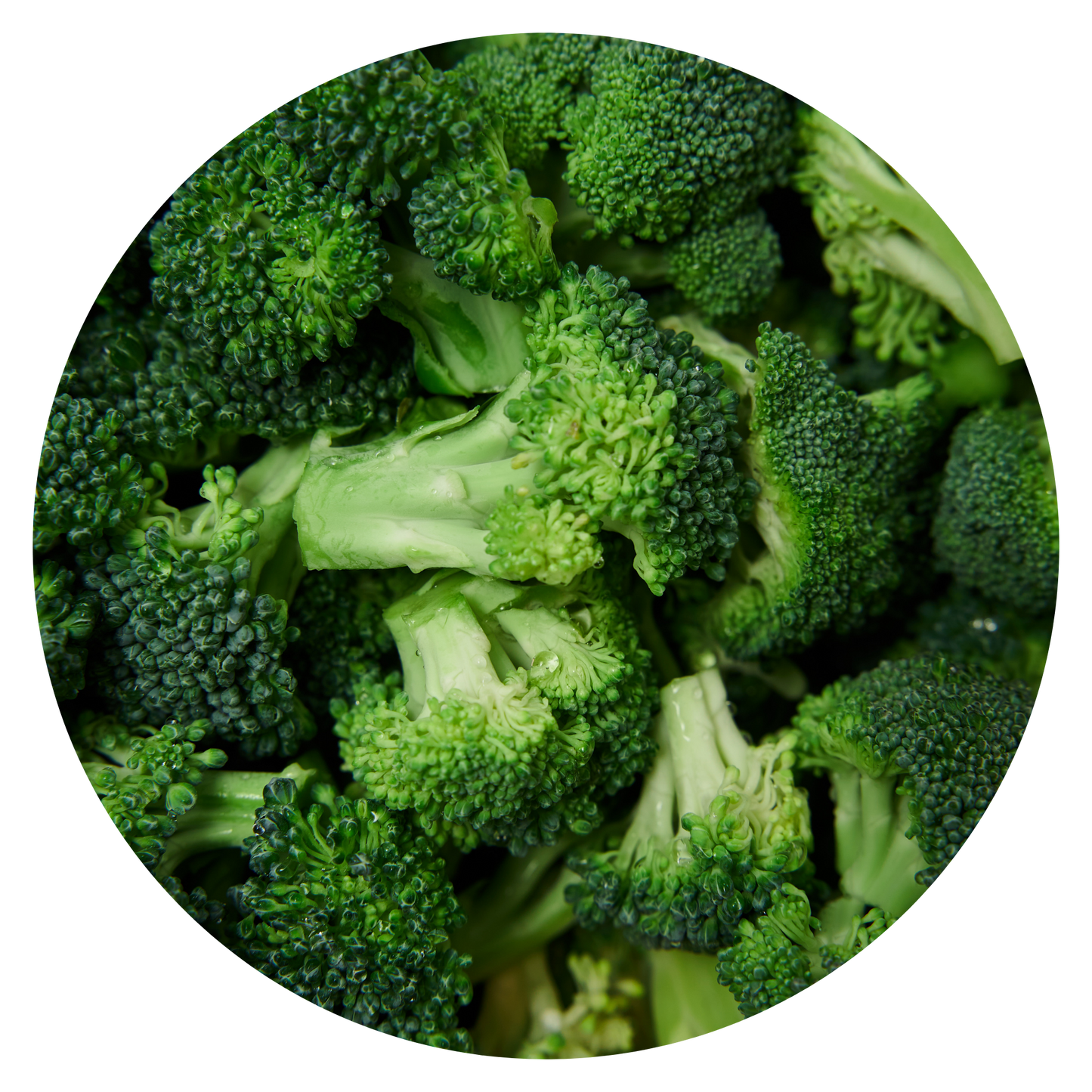 Broccoli