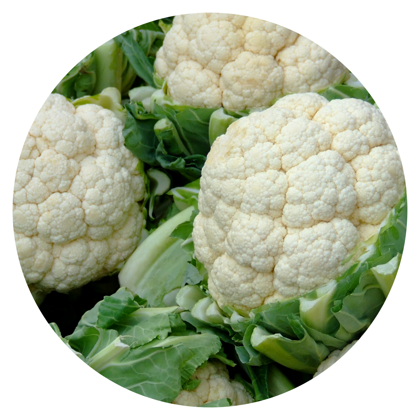 Cauliflower