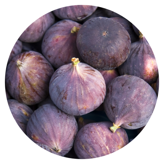 Fig