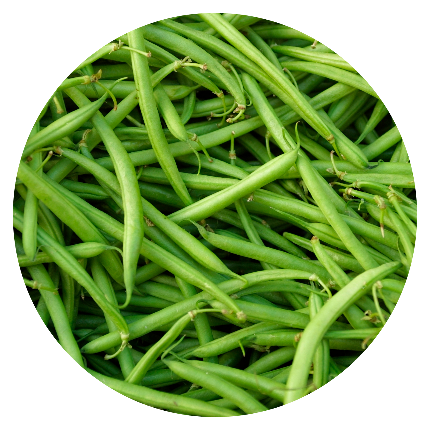 Green beans