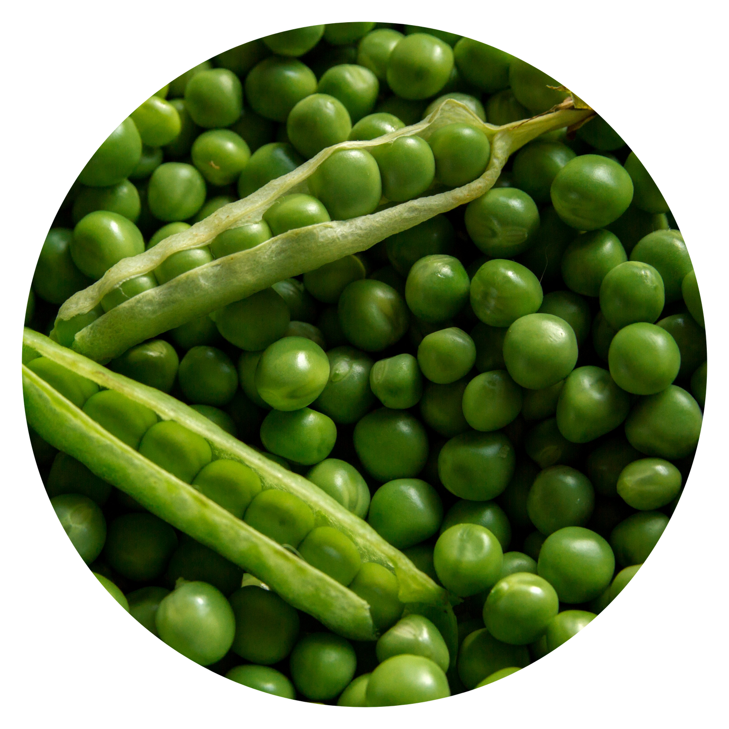 Peas