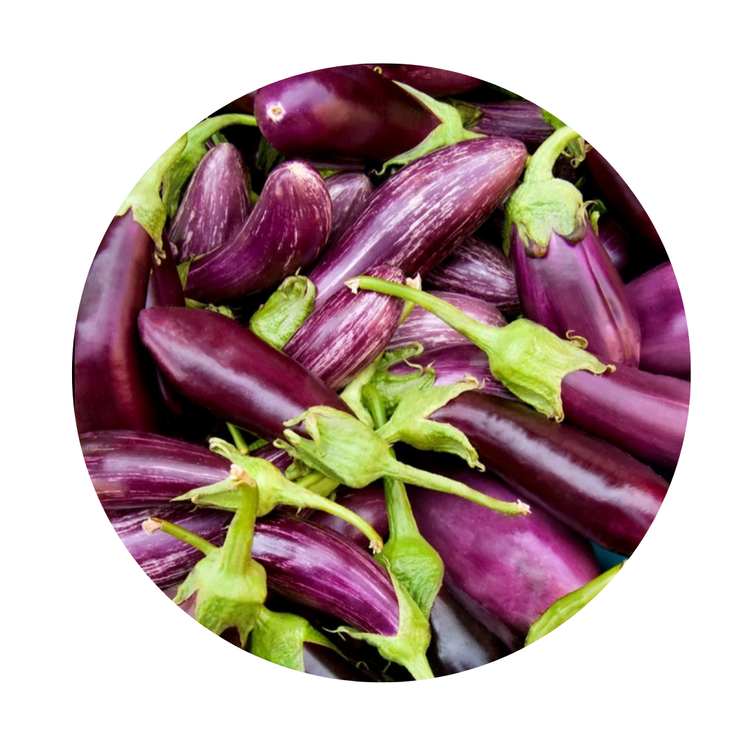 Italian Eggplant