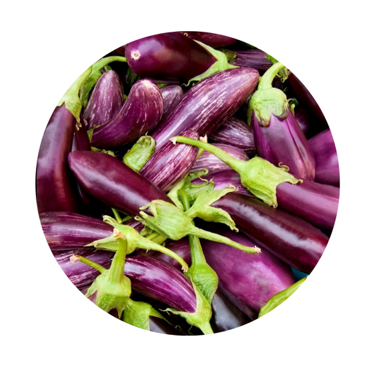 Italian Eggplant