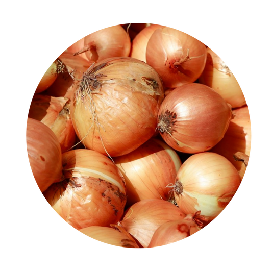 Onion