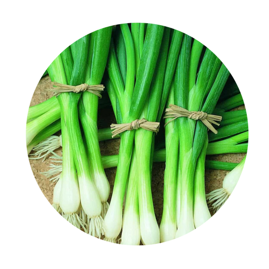 Green Onion