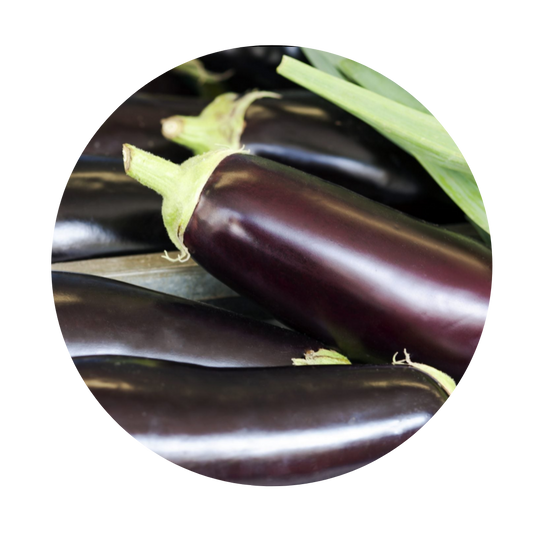 American Eggplant