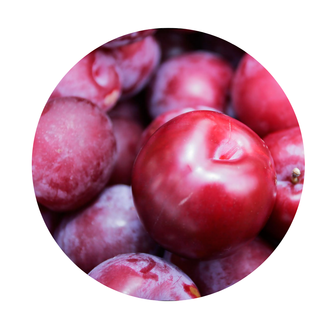 Red Plum