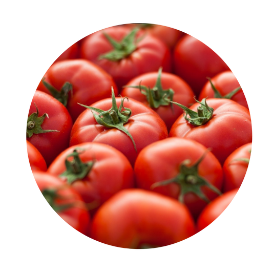 Tomato