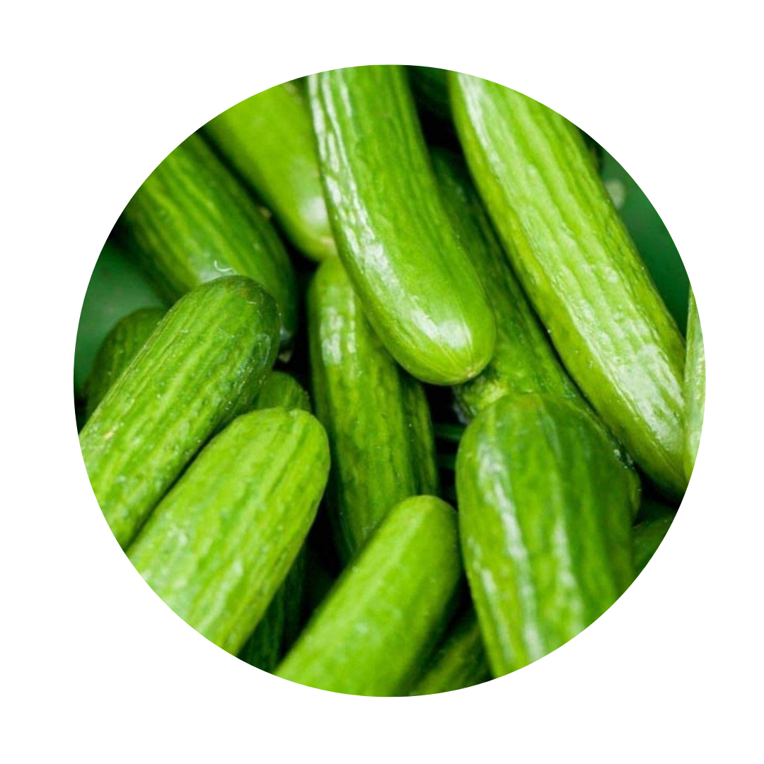 Persian Cucumbers