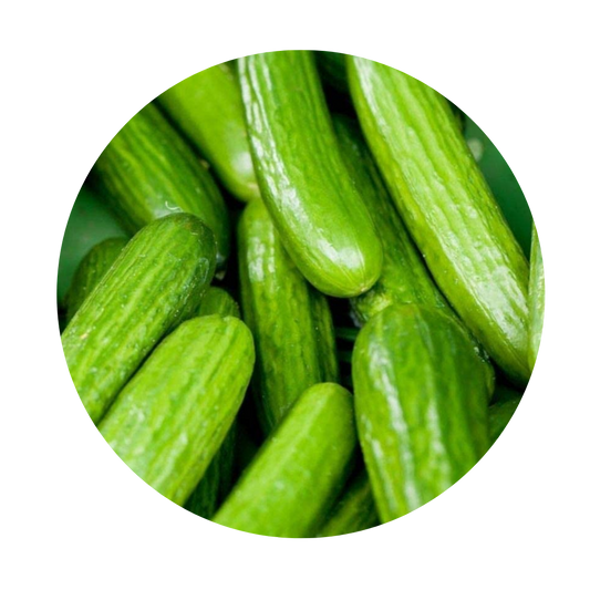 Persian Cucumbers