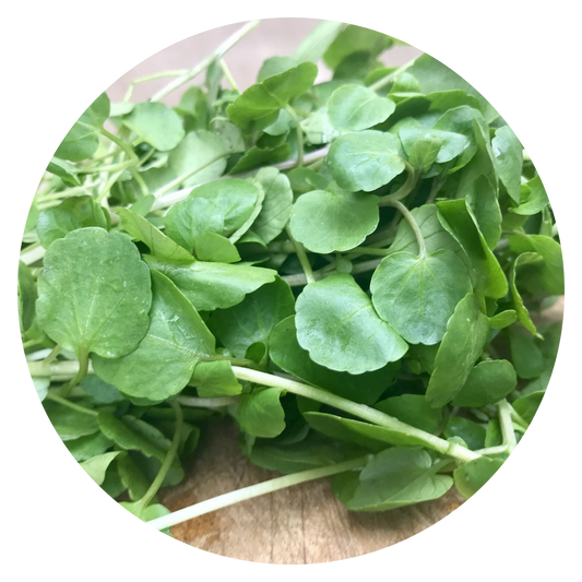 Watercress