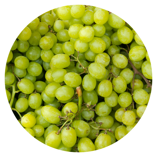 White Grape