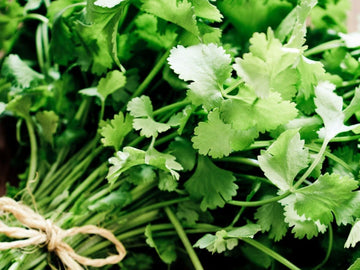 Produce – Ramallah Market